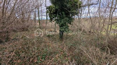 Maison - 180 m² - 1 pièce