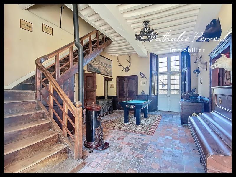 Château - 529 m² - 18 pièces