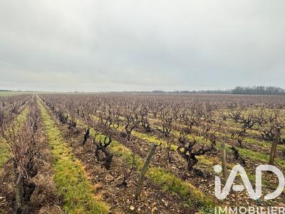 Terrain - 39 692 m²