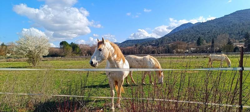 Maison - 168 m² - 5 pièces