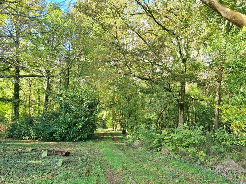 Château - 2 246 m² - 40 pièces