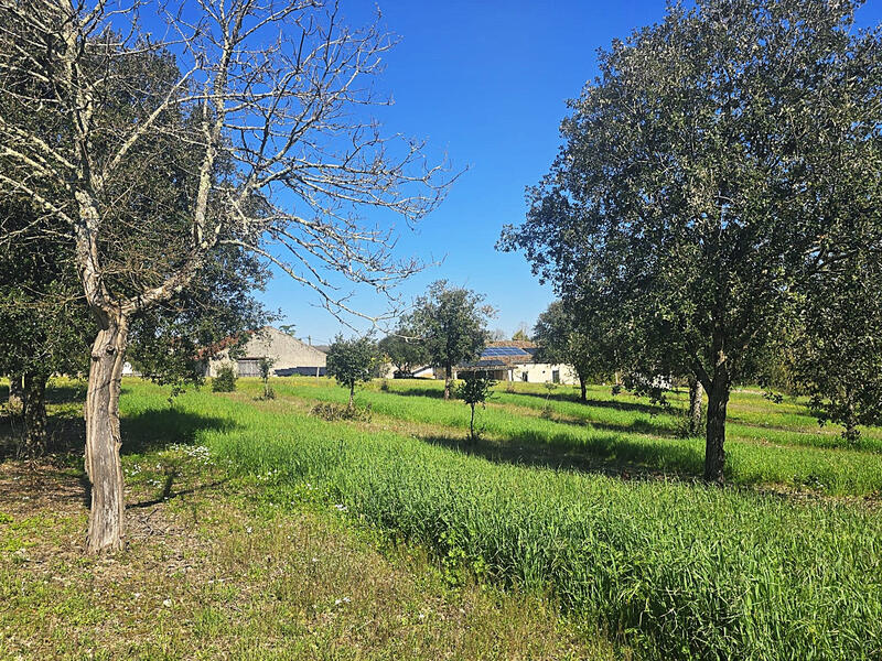 Maison - 173 m² - 6 pièces