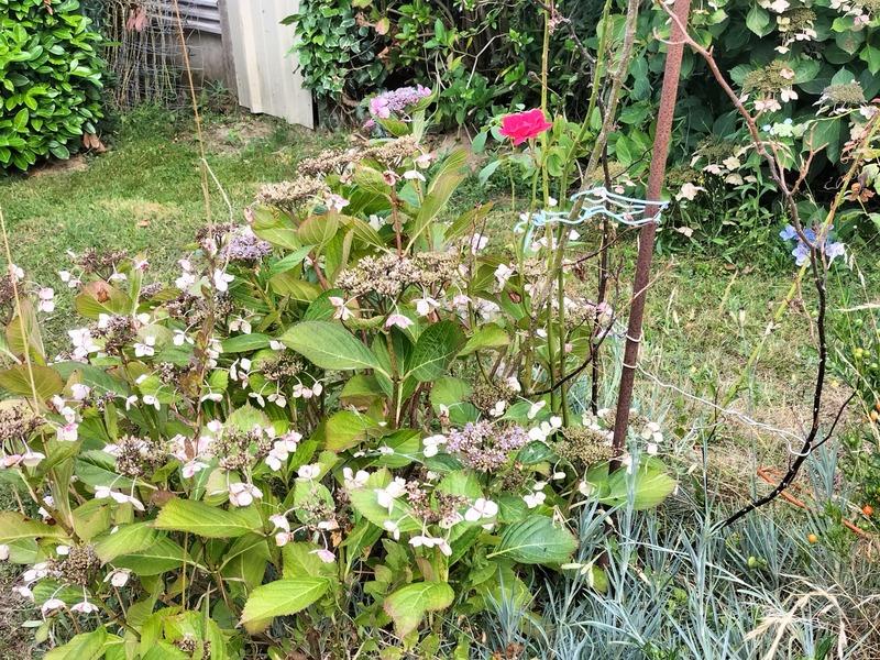 Maison - 148 m² - 6 pièces