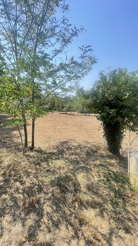 Terrain - 1 329 m²