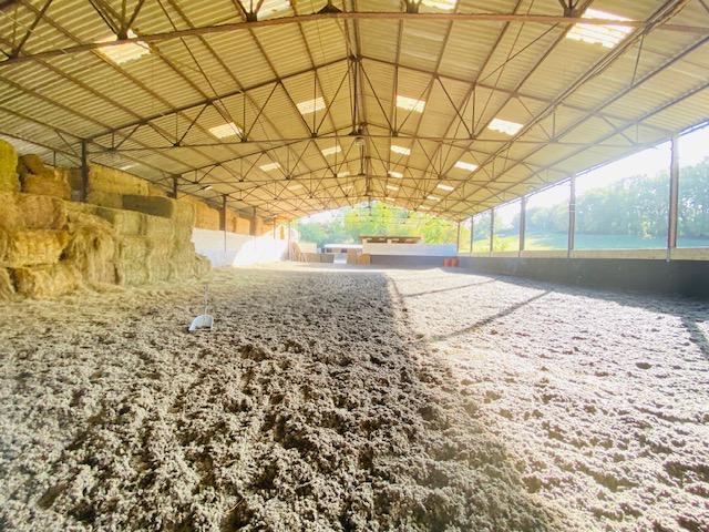 Maison de domaine équestre - 100 m² - 8 pièces