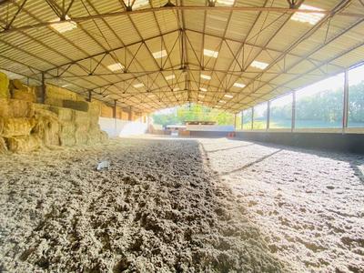 Maison de domaine équestre - 100 m² - 8 pièces