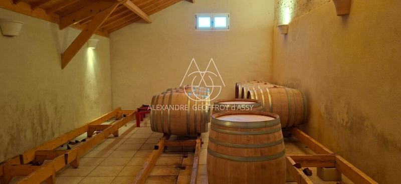 Propriété - 650 m² - 8 pièces