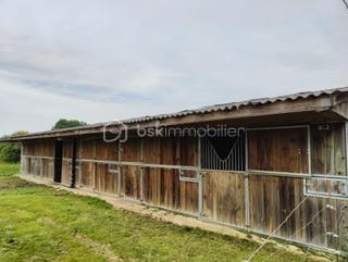 Maison de domaine équestre - 80 m² - 4 pièces