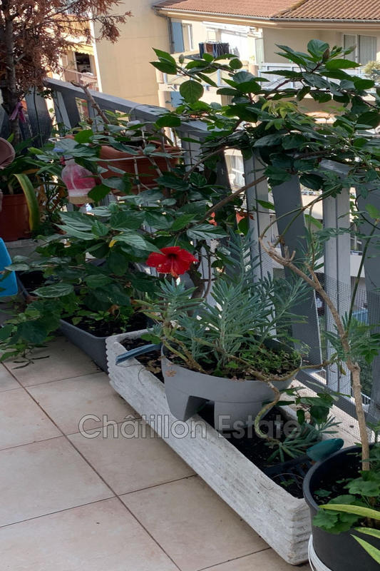 Appartement - 74 m² - 3 pièces