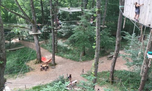 Arbres et Sens Aventure