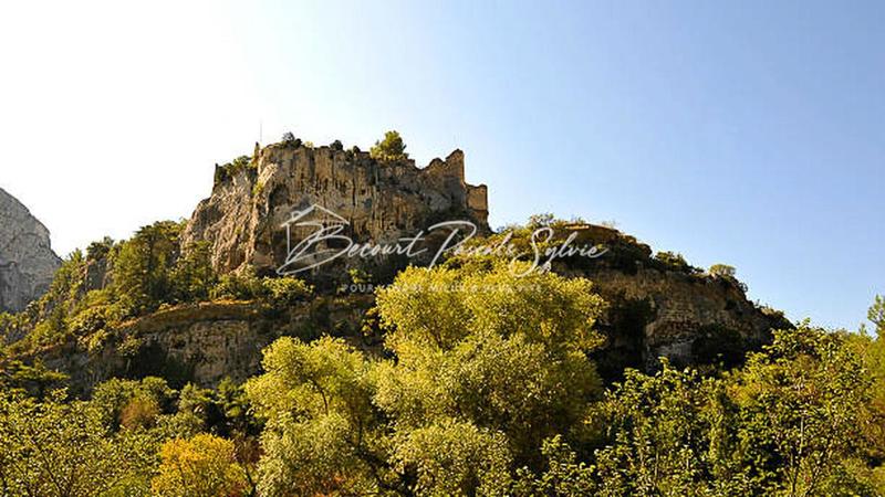 Terrain agricole - 174 206 m²