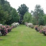 Jardins et roseraie du Château de Miserey