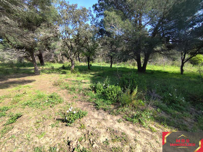 Terrain agricole - 7 855 m²