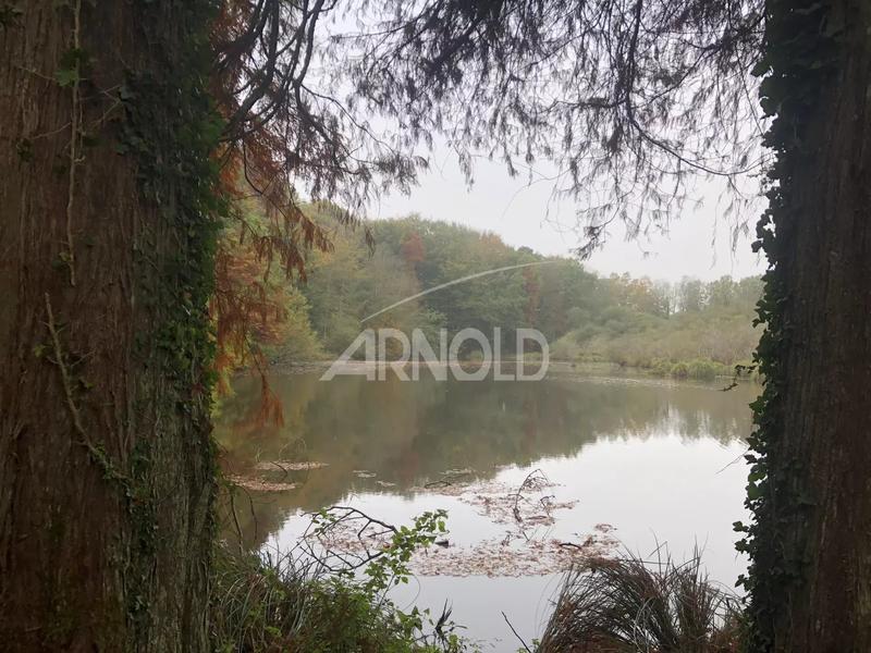 Moulin - 250 m² - 5 pièces