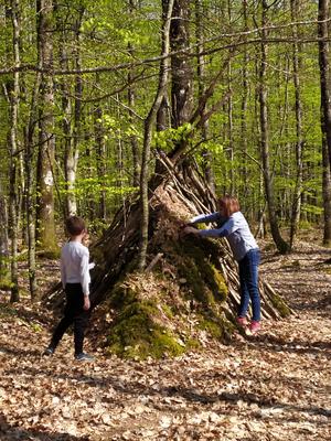 Balade famille "Le bocage, refuge de biodiversité"
