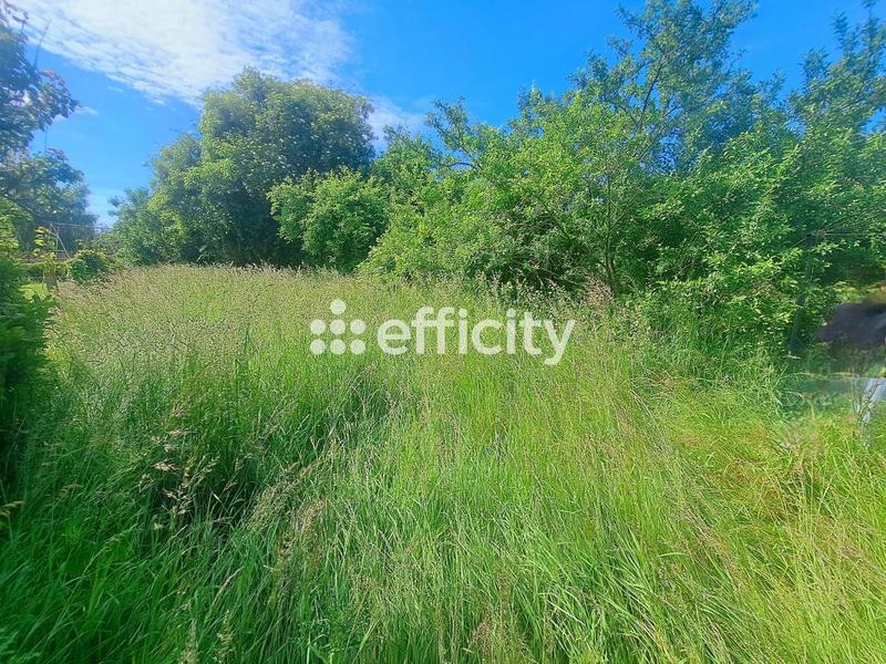 Maison - 53 m² - 3 pièces