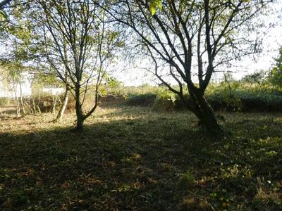 Terrain constructible - 1 030 m²