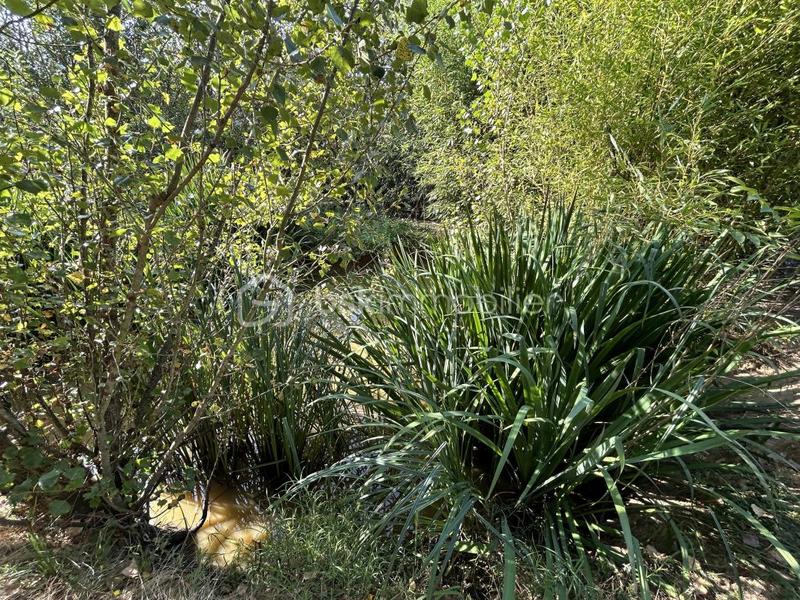 Maison en pierre - 230 m² - 8 pièces