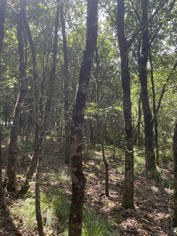 Maison - 190 m² - 7 pièces