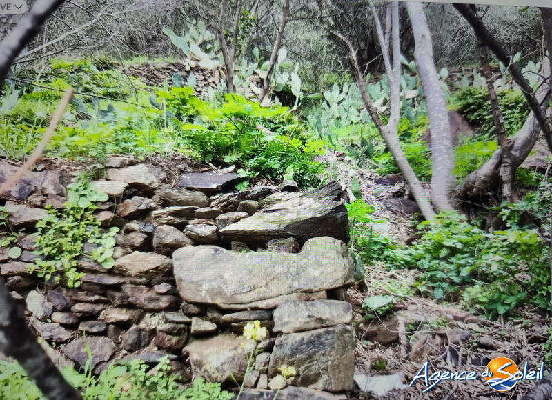 Terrain agricole - 4 000 m²