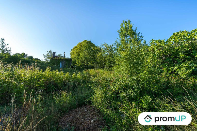 Terrain - 122 232 m²