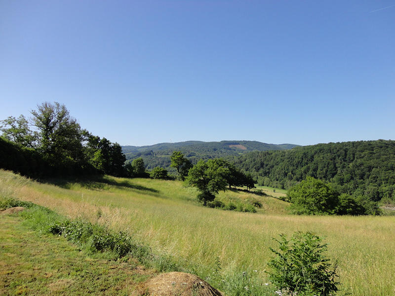 Maison - 208 m² - 5 pièces