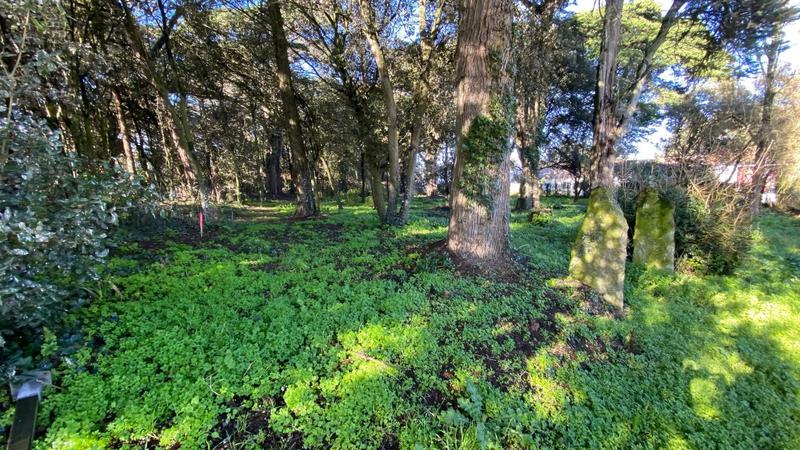 Terrain constructible - 2 000 m²