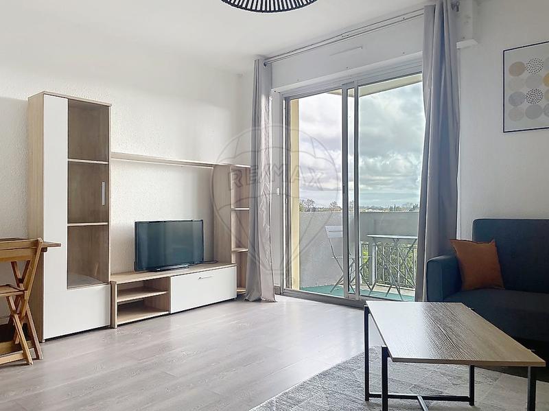 Studio - 24 m² - 1 pièce