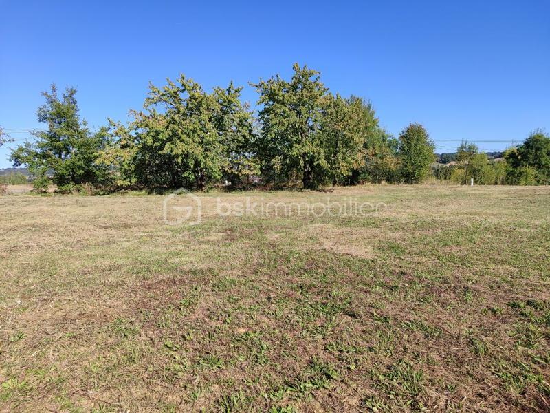Terrain - 8 000 m²