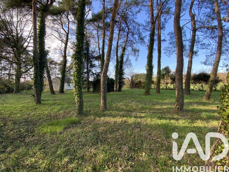 Maison de maîtres - 160 m² - 5 pièces