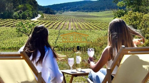 Mas - 186 m² - 7 pièces