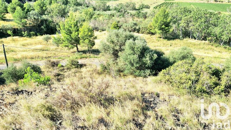 Terrain agricole - 4 120 m²