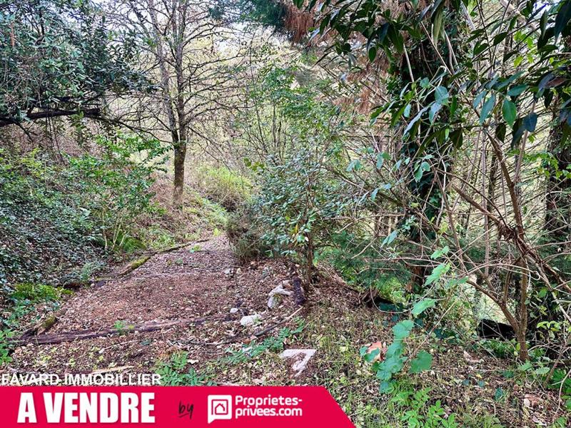 Maison - 238 m² - 9 pièces