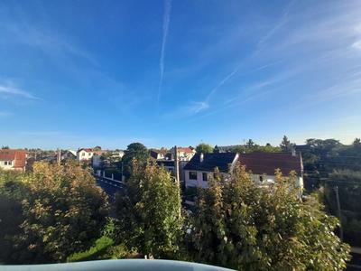 Studio - 36 m² - 1 pièce