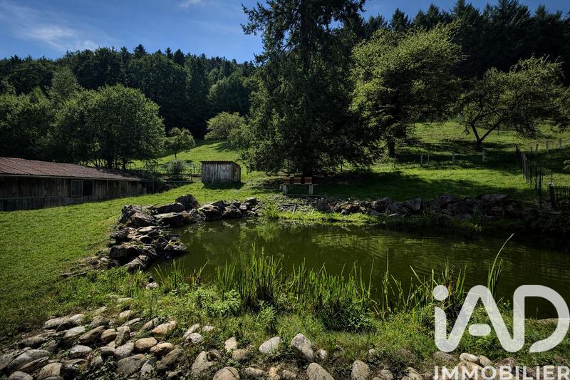 Maison - 423 m² - 10 pièces