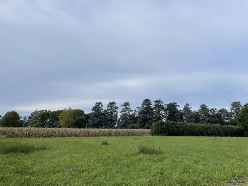 Terrain - 11 654 m²