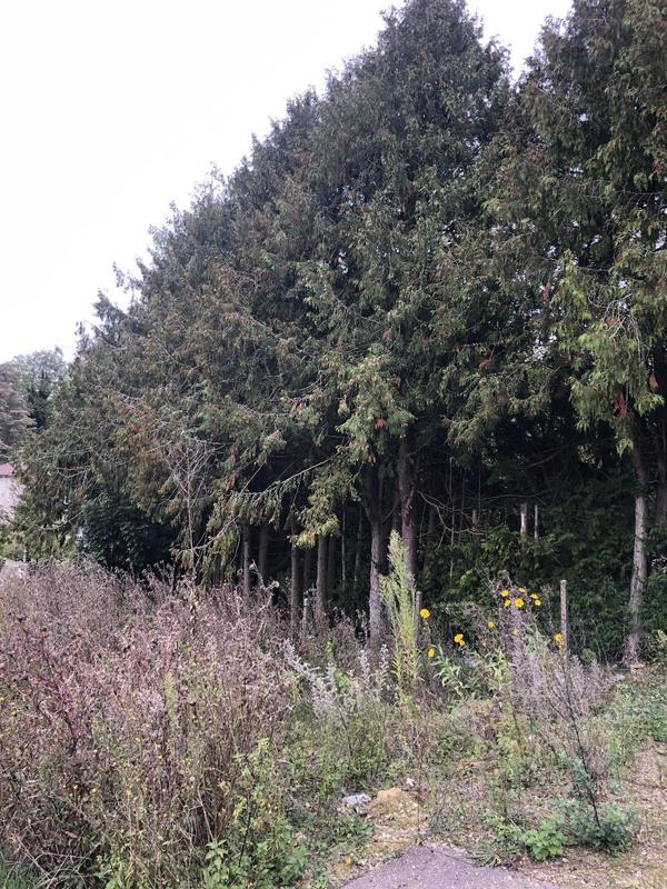 Terrain constructible - 868 m²