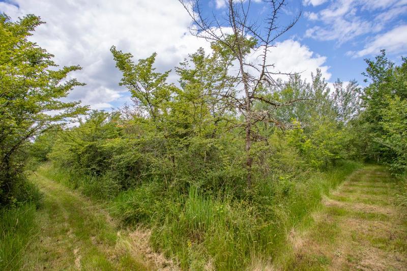 Propriété - 130 m² - 7 pièces