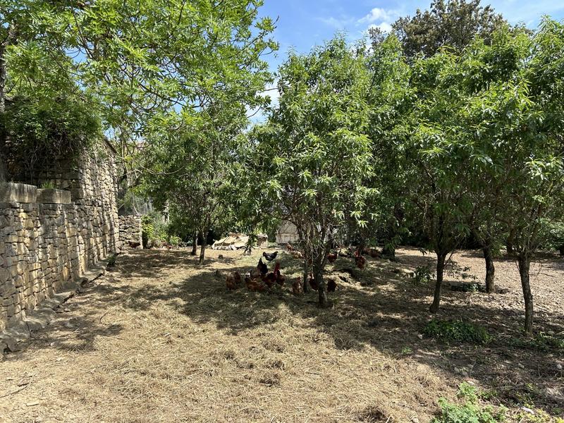 Maison - 300 m² - 5 pièces