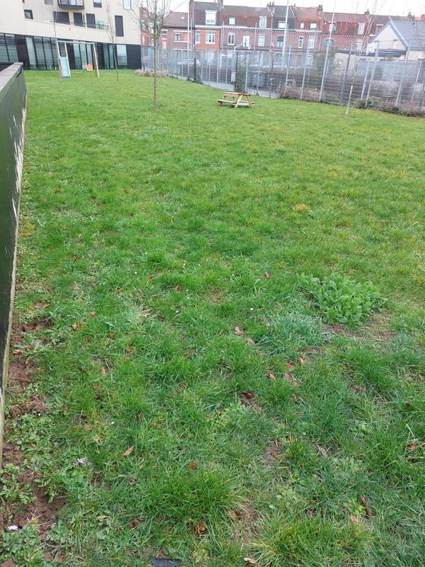 Appartement - 74 m² - 4 pièces