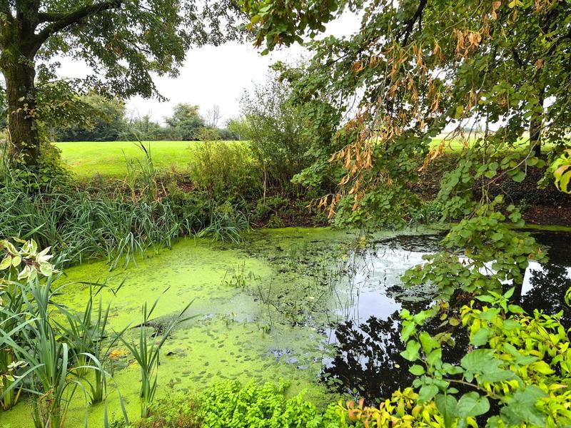 Propriété - 163 m² - 6 pièces