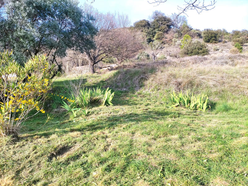 Ferme - 100 m² - 5 pièces