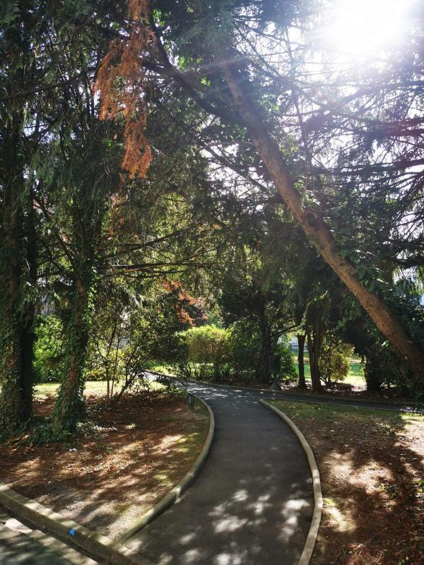 Appartement - 53 m² - 3 pièces