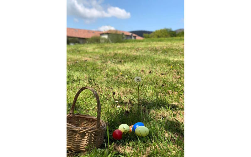 Chasse aux oeufs de Pâques