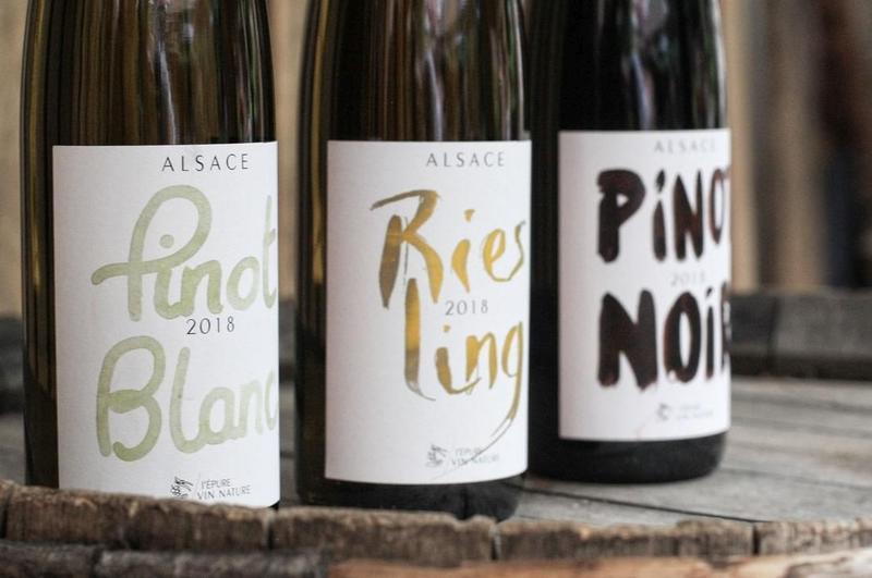 Cave de Printemps - Maison Martin Jund