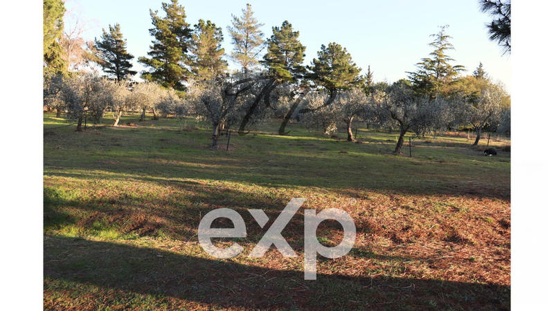 Villa - 330 m² - 10 pièces