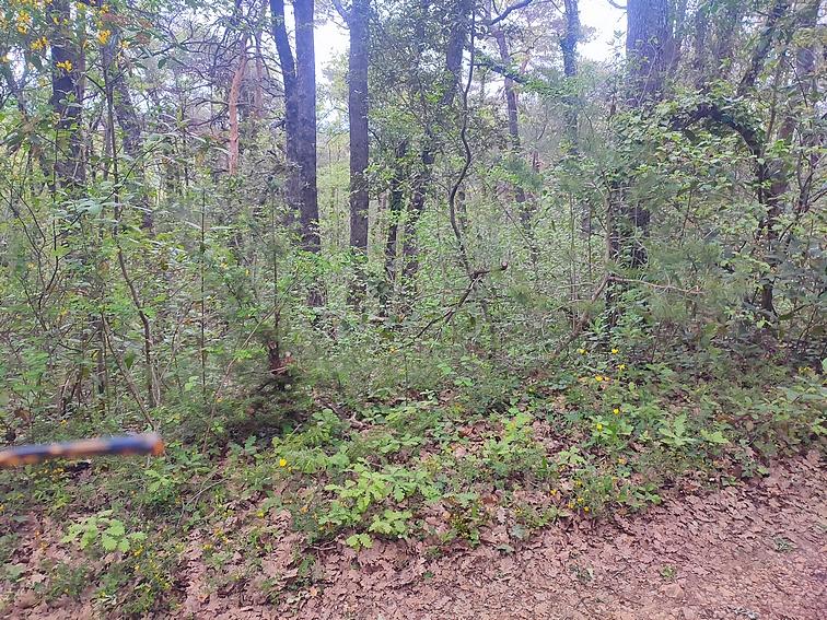 Terrain - 10 060 m²