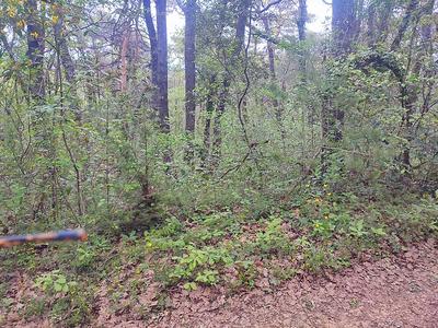 Terrain - 10 060 m²