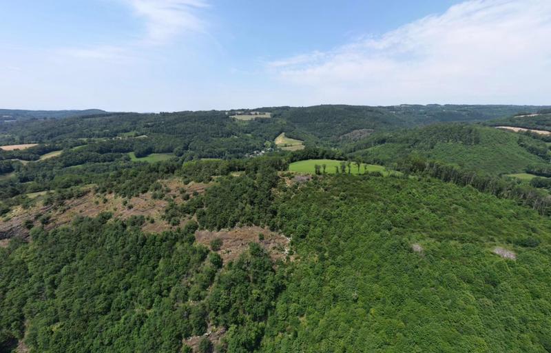 Terrain agricole - 71 100 m²