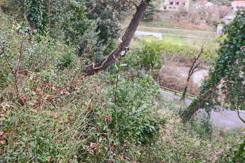 Terrain constructible - 1 003 m²